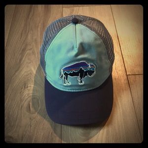 Patagonia trucker hat